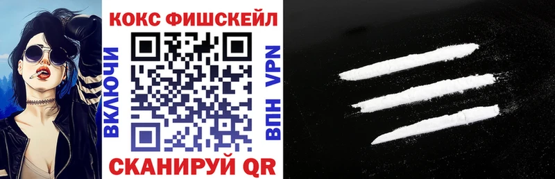 Cocaine Fish Scale  Купить  Горняк 