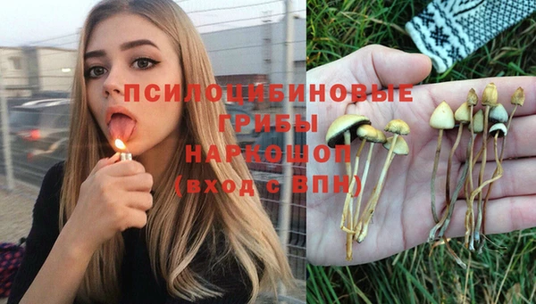 прущая мука Ельня