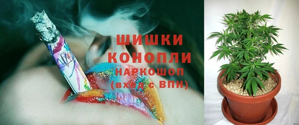 гидра Заволжье
