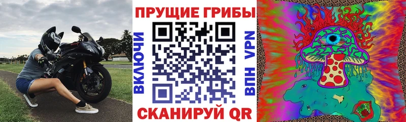 Псилоцибиновые грибы прущие грибы  Купить  Горняк 