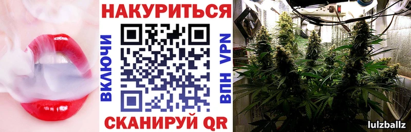 Бошки марихуана ГИДРОПОН  Купить где  Горняк 